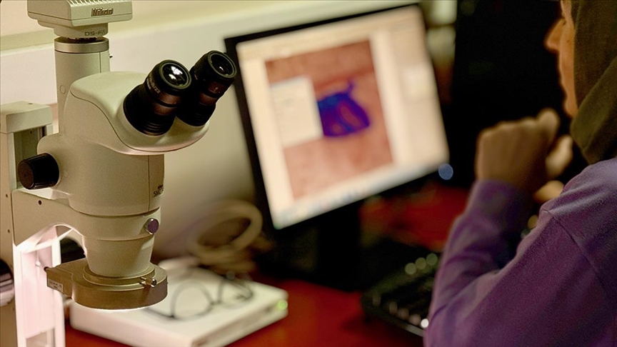 Sulak alandaki endemik bitkiler iklim değişikliği ve dış etkenler nedeniyle “kırmızı alarm” veriyor