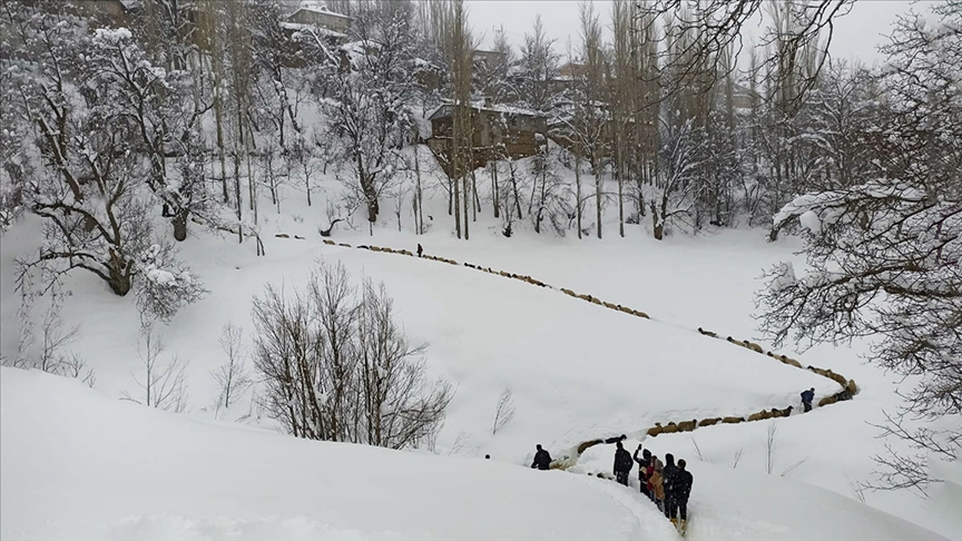 Küçükbaş hayvan sürüsünün kar örtüsü arasındaki yolculuğu görüntülendi