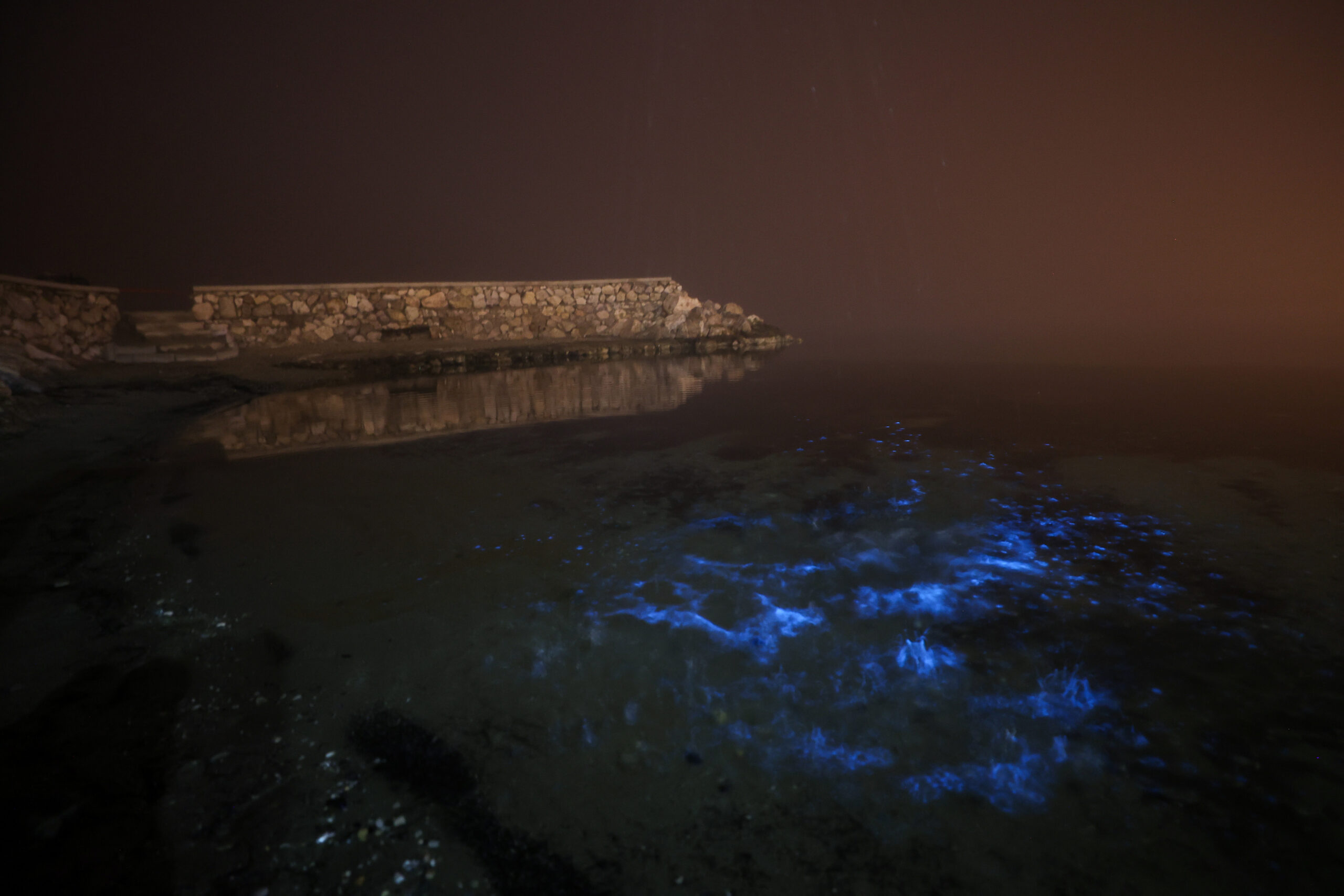 Bursa kıyılarında planktonların çoğalmasıyla deniz suyu yer yer renk değiştirdi