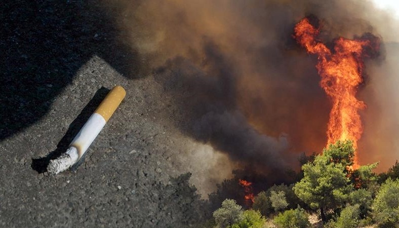 Sigaranın üretimi ağaçları yok ederken izmariti de orman yangınlarını tetikliyor