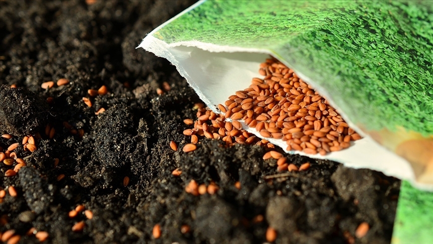 Tohum üreticilerinden belediyelere “yerli ve milli tohum dağıtın” çağrısı