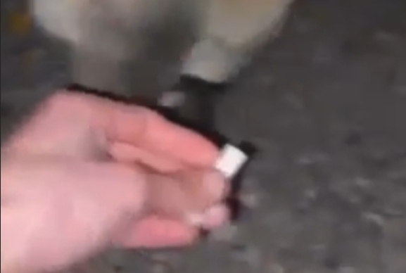 İnegöl’de skandal görüntüler