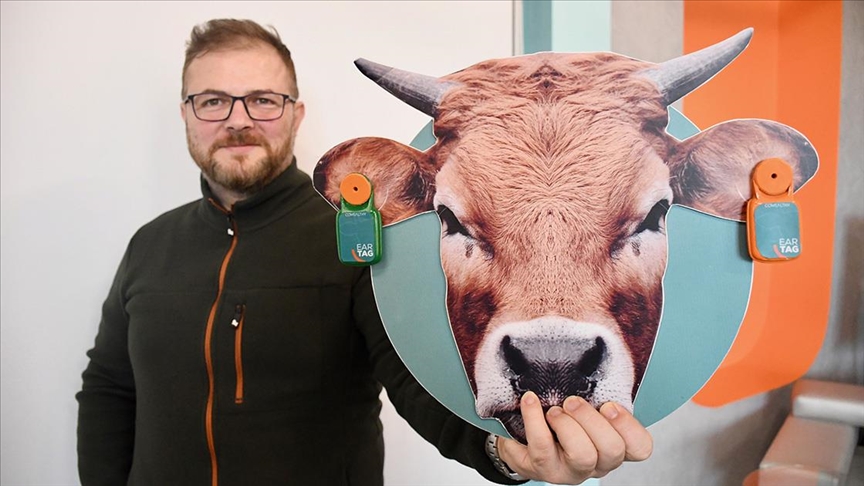 Bilişim Vadisi’nde süt ve besi hayvancılığı için yapay zeka destekli ürünler geliştiriliyor