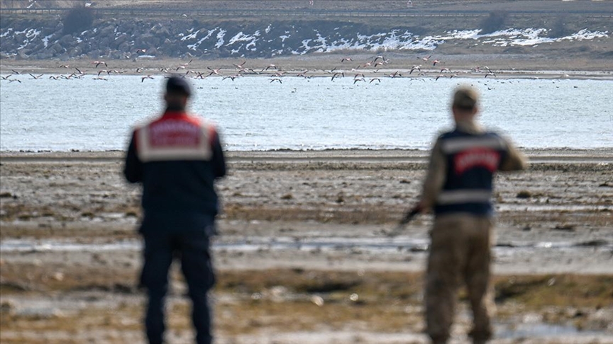 Jandarma göçmen kuş nöbetinde