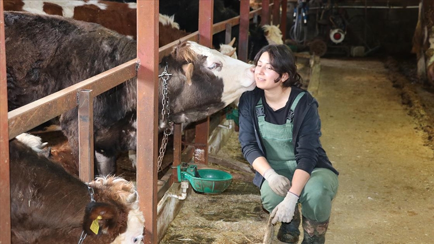 Astronomi mezunu genç kız köyünde büyükbaş hayvan besiciliği yapıyor