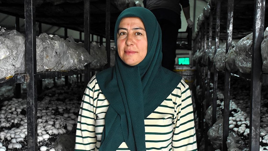 Kadın girişimci devlet desteğiyle atıl arazisini tarıma kazandırdı