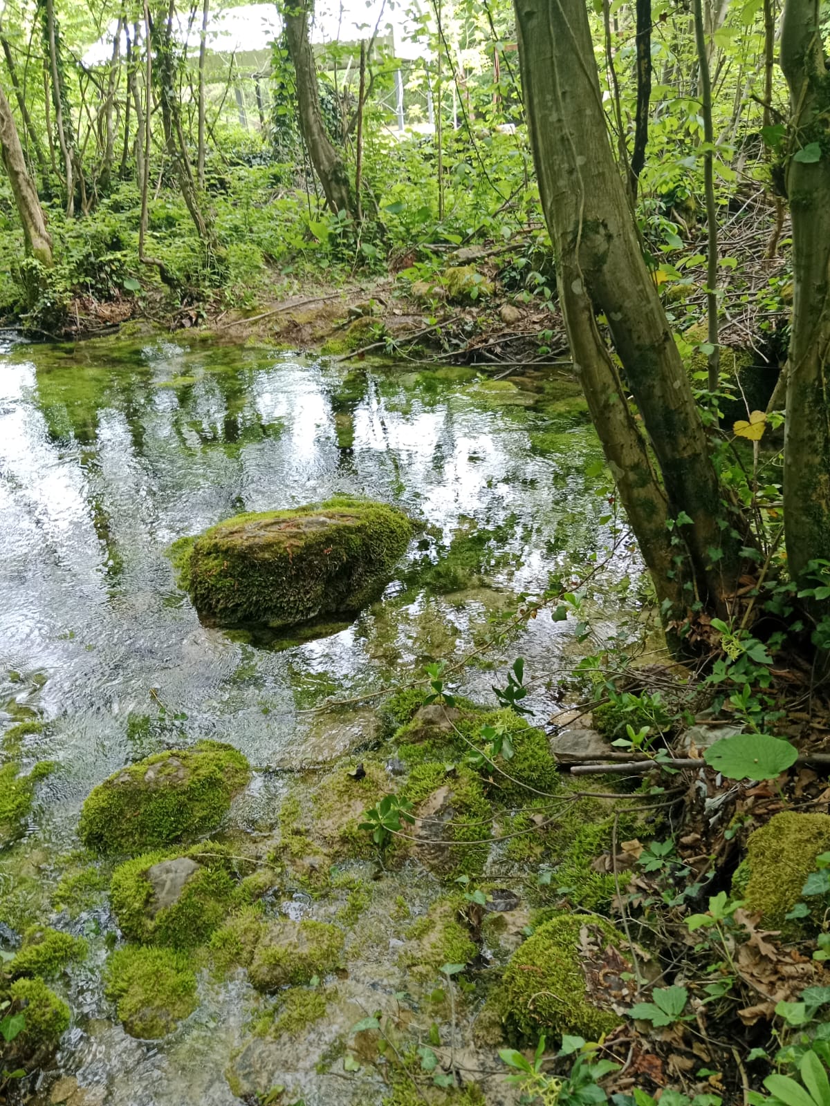 İnegöl’ün doğal hazinesi: ‘Leylek Suyu’