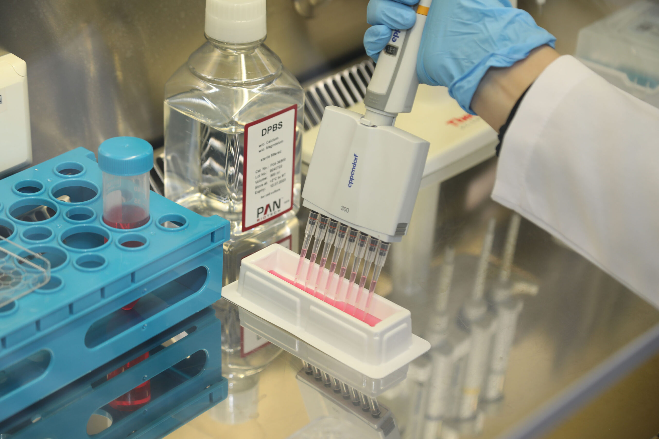 BTÜ’lü doktora öğrencisinin “yara iyileştirmesini hızlandıracak” malzeme projesine TÜBİTAK desteği