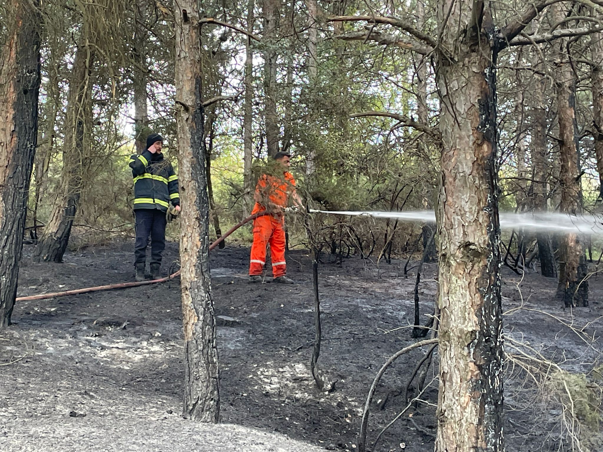 İnegöl’de orman yangını… Ekipler seferber oldu