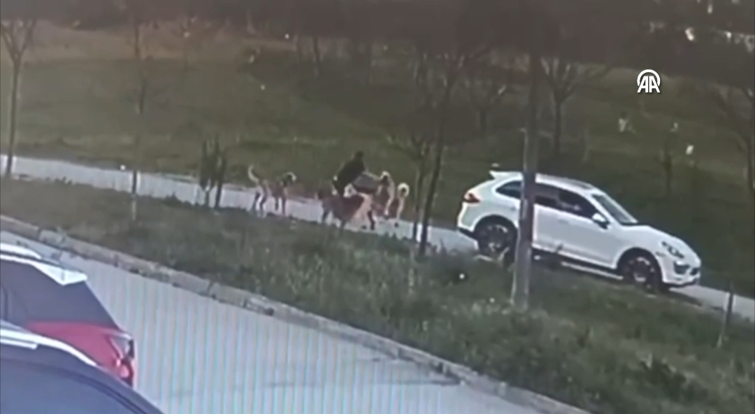 Paramparça olmaktan son anda kurtuldu