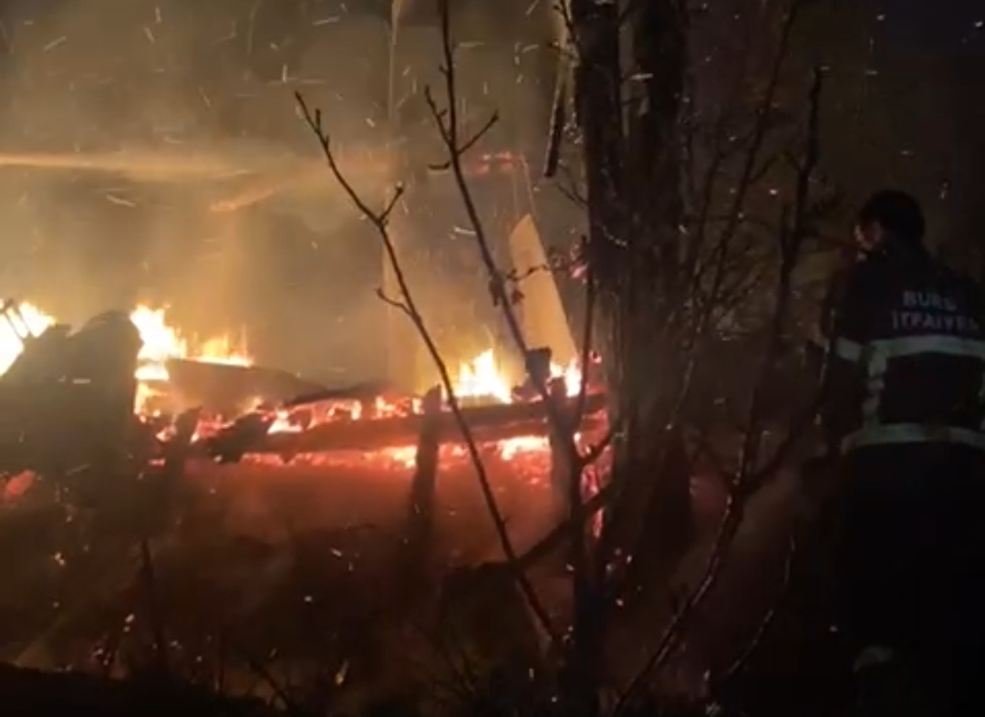 Ormanlık alanda yangın