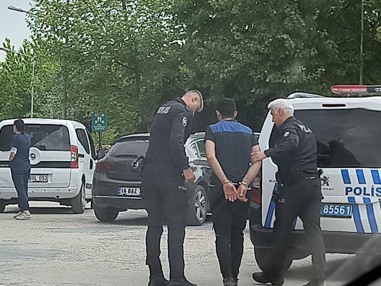 Yavru köpeğe şiddet uyguladığı iddia edilen kişi gözaltına alındı