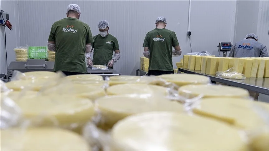 Dede mesleğini devlet desteğiyle birleştirdi, süt ürünleri üretimini artırdı