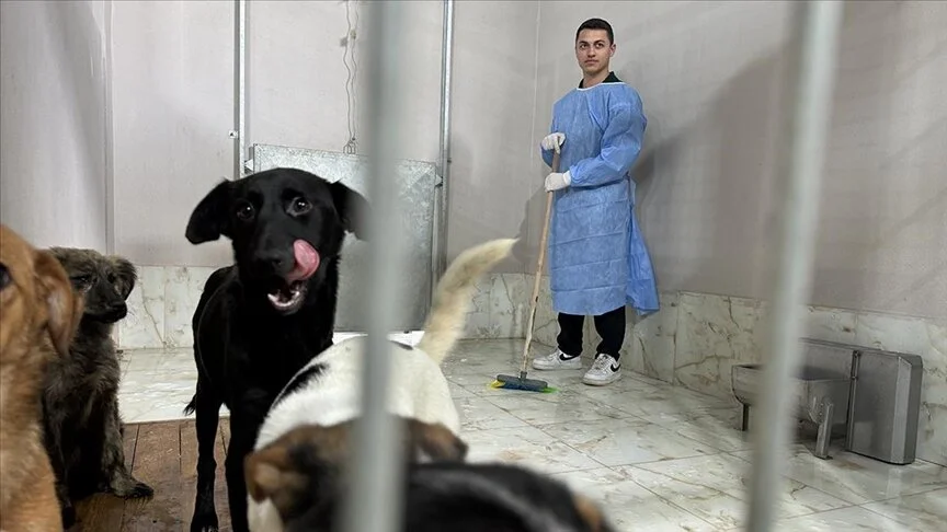 Gönüllü üniversiteliler barınakta “can dostlar” ile buluştu