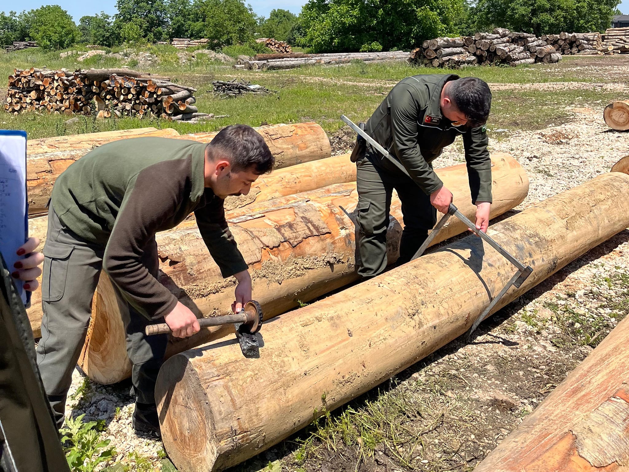 İnegöl’de kaçak kayın tomruklarına el konuldu