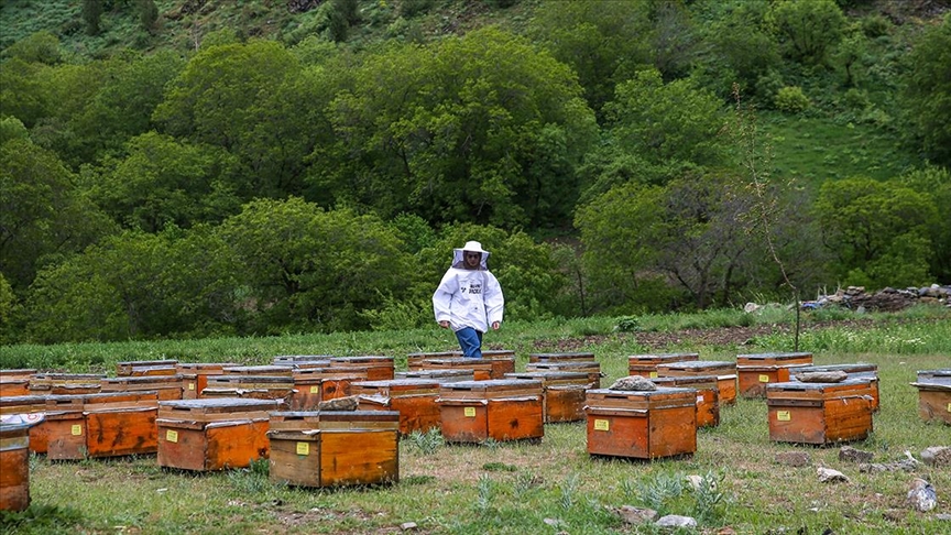 Arı konaklamalarını içeren konularda sahada yaşanan sorunlar giderilecek