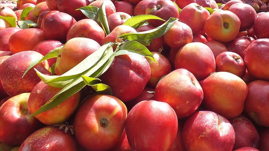 Ticaret Bakanlığı nektarin ve brokoliyi de ticari kalite denetimi kapsamına aldı