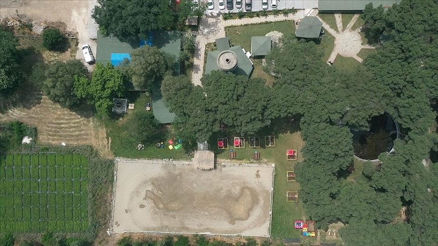 Meslek liseliler tarlada yetiştirip restoranda pişiriyor