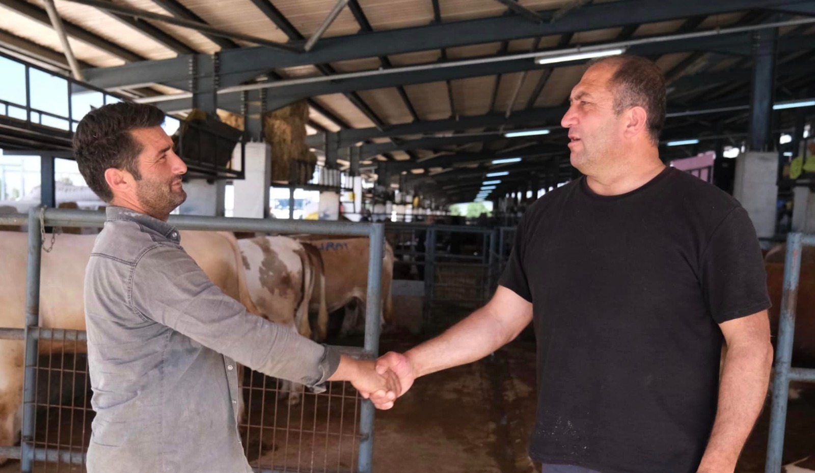 Kurban Bayramı’na sayılı günler kala kıran kırana pazarlıklar sürüyor