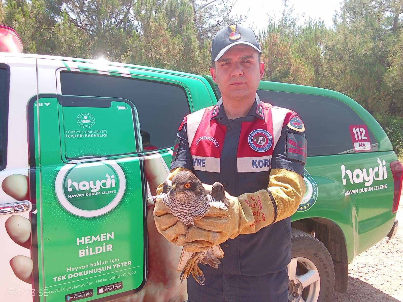 Jandarma Komutanlığı’ndan doğa dostu hareket
