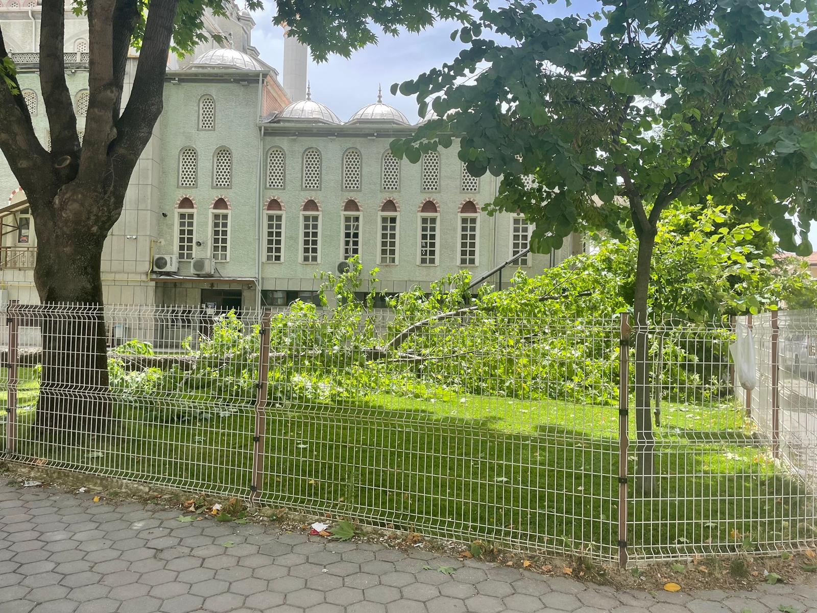 İnegöl’de cami bahçesinde devrilen ağaç bir kişiyi yaraladı