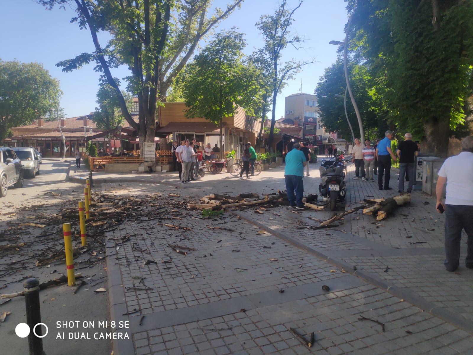 İnegöl’de çınar dalları yıkılmaya devam ediyor