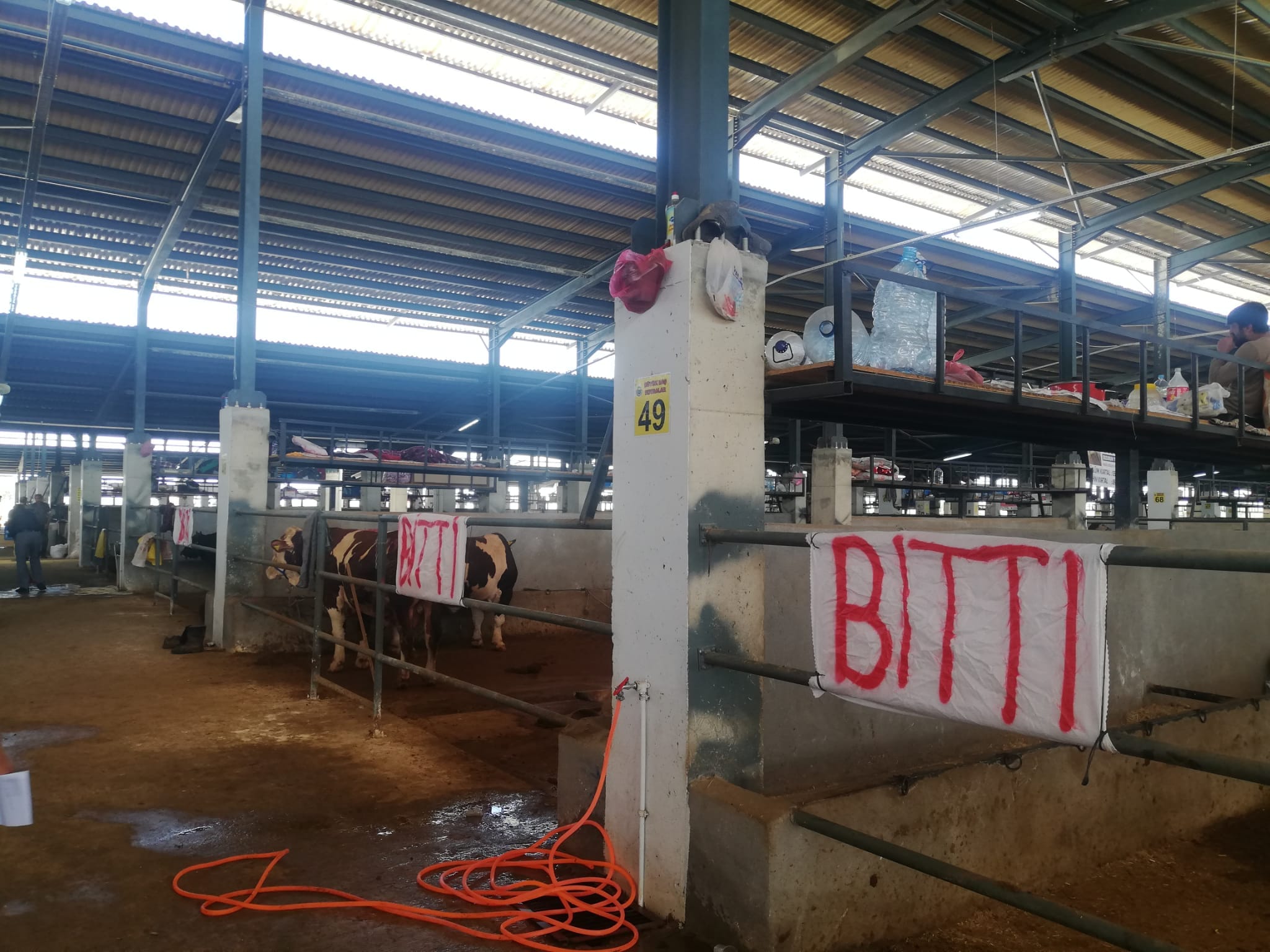 İnegöl Hayvan Pazarı’nda satılan kurbanlıkların sayısı belli oldu