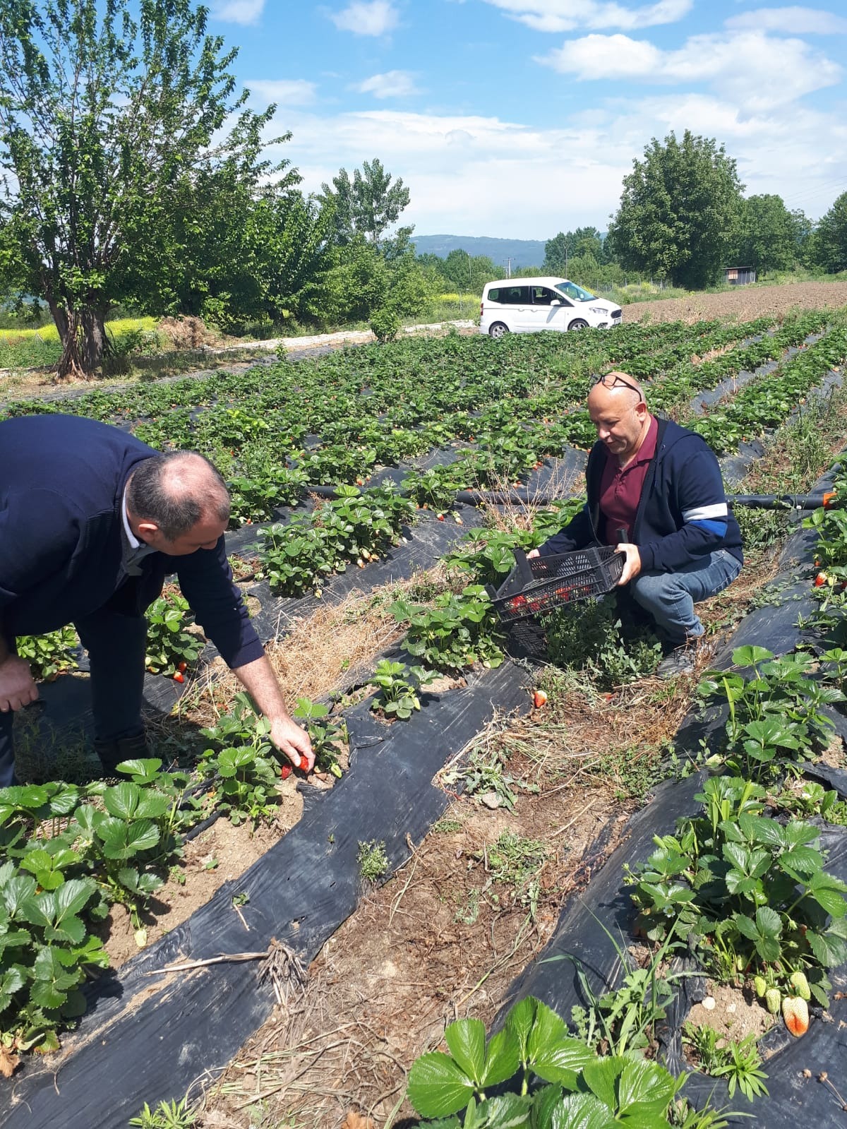 İnegöl’de meyve ve sebzelerde numune alımı sürüyor