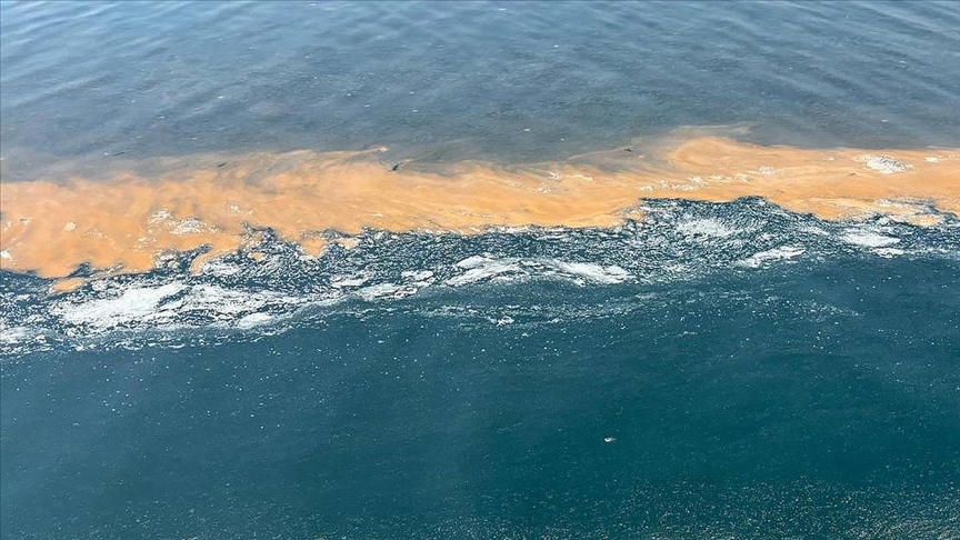 Marmara’da aşırı alg artışları daha sık görülmeye başladı