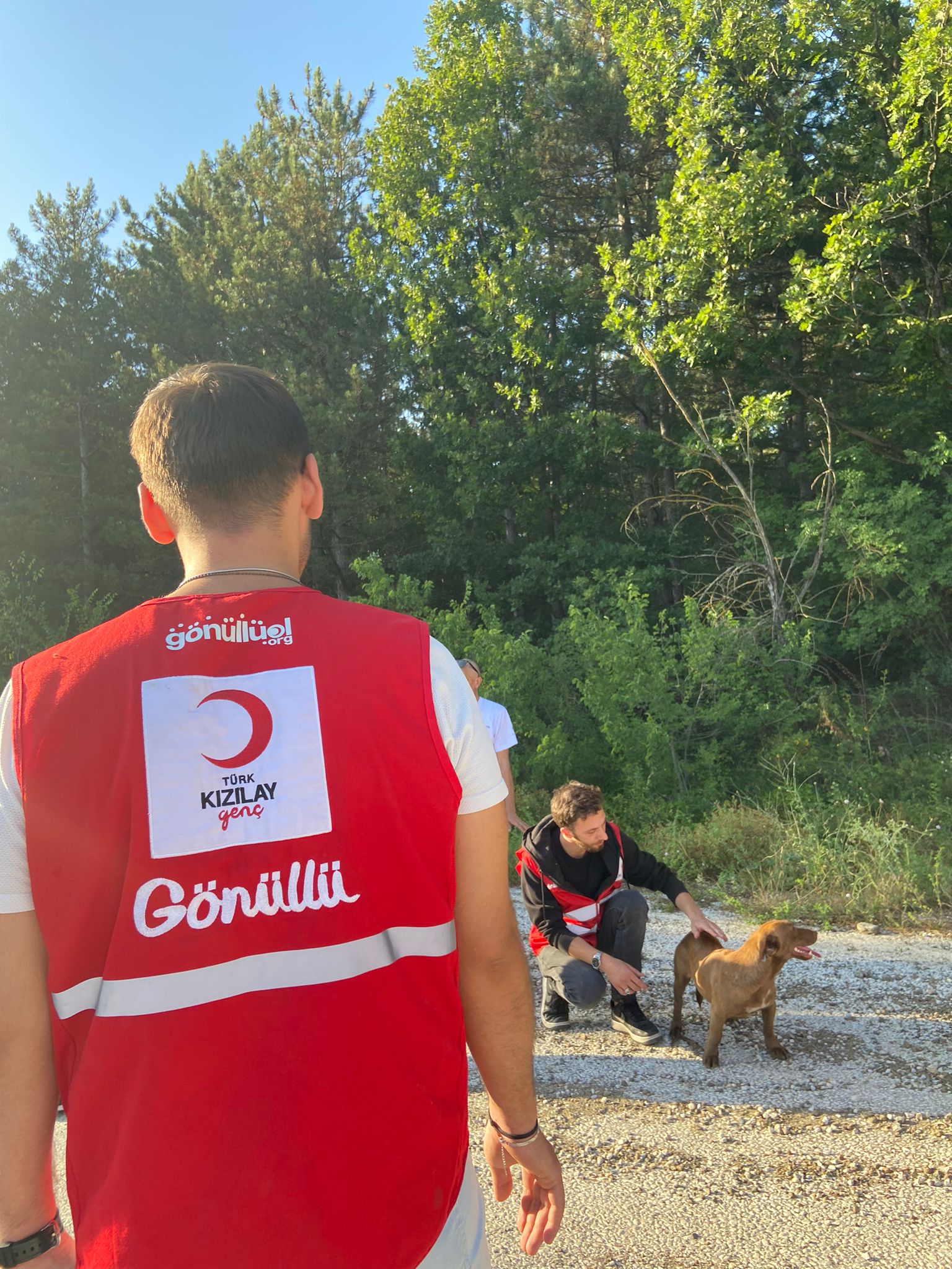 Genç Kızılay, can dostlarını unutmadı
