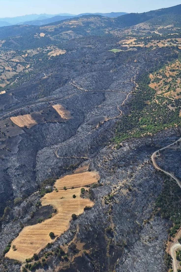 Bursa’da çıkan orman yangınında zarar gören alan yeniden ormanlaştırılıyor