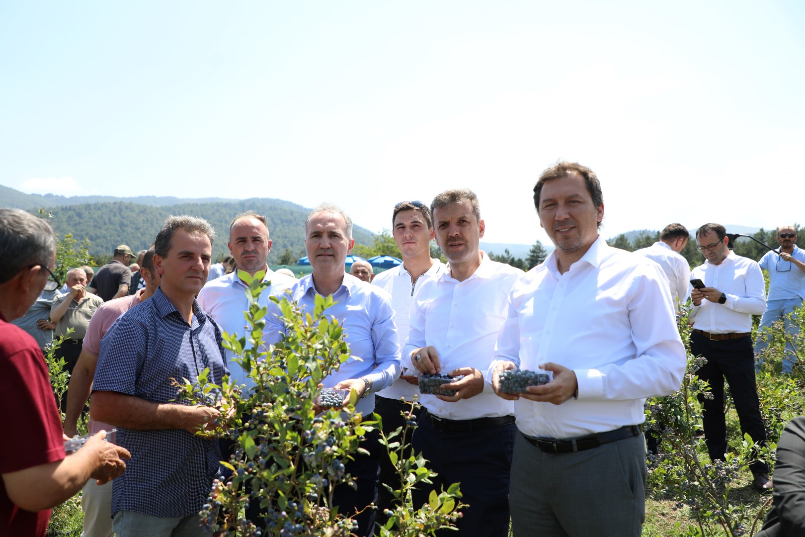 MAVİ YEMİŞTE HASAT BAŞLADI