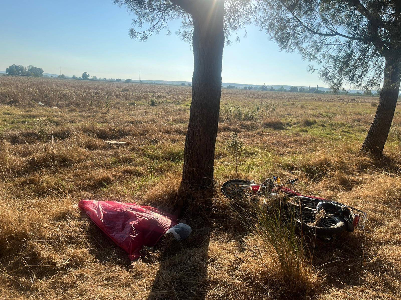 Ağaca çarpan motosikletin sürücüsü öldü