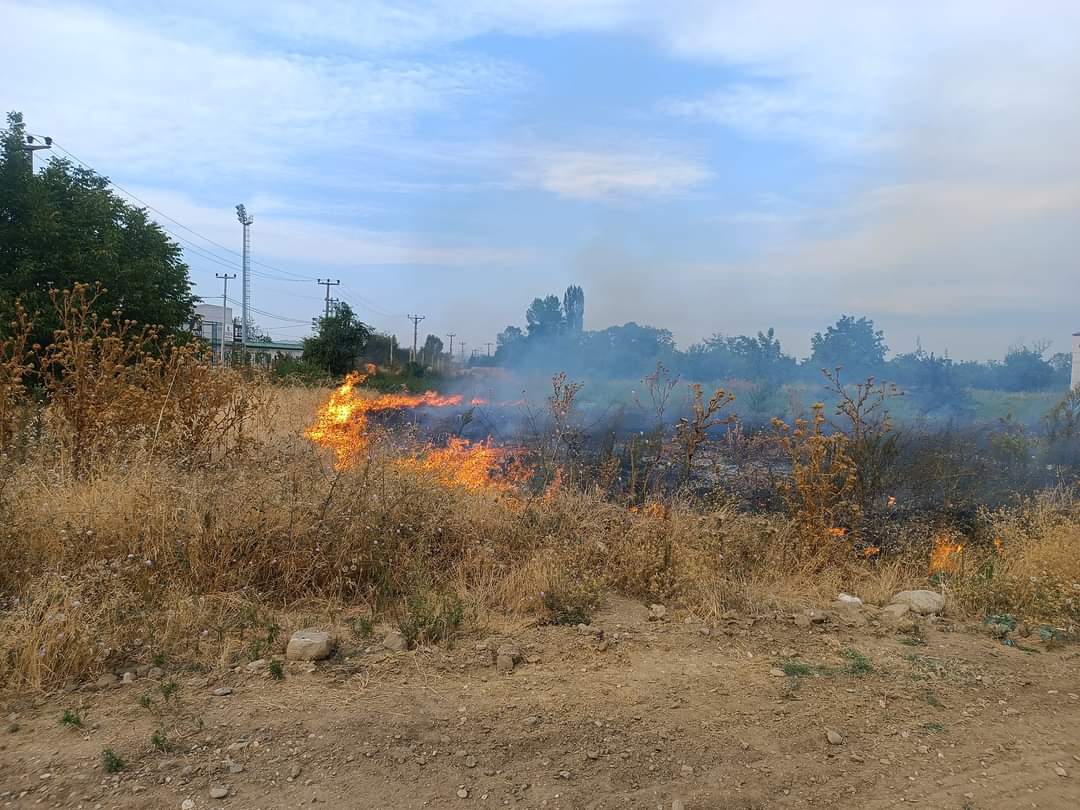Cerrah’ta korkutan anlar