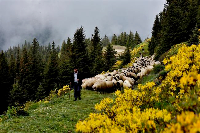 Yaylaları, dereleri, dağlarıyla İnegöl kırsalı, huzuru arayanların adresi oluyor
