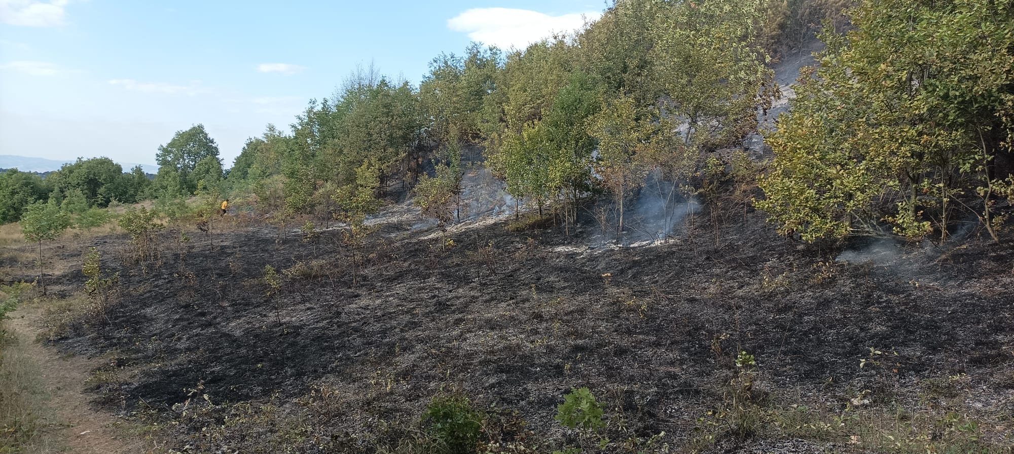 Yangın ormana sıçramadan söndürüldü