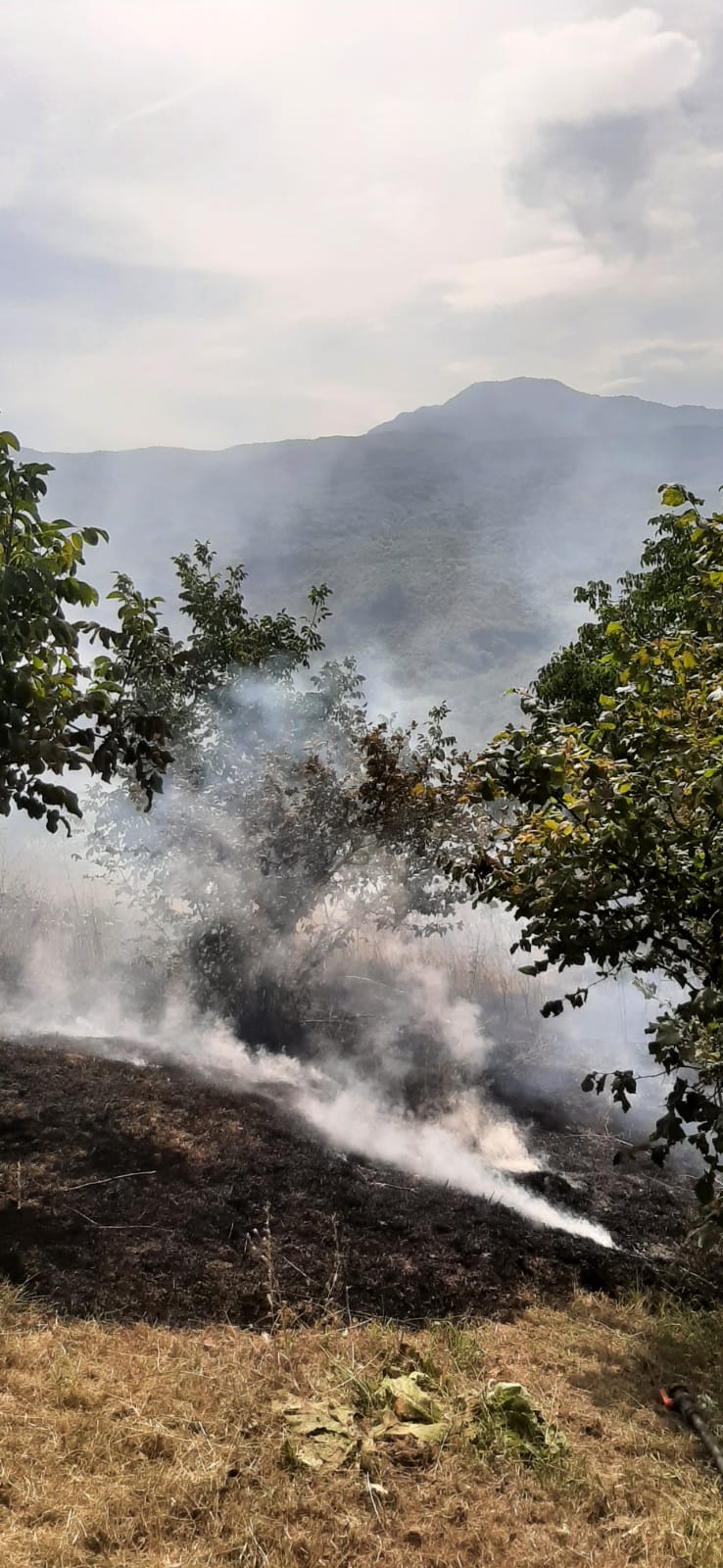 İnegöl’de anız yangını ağaçlık alana sıçradı