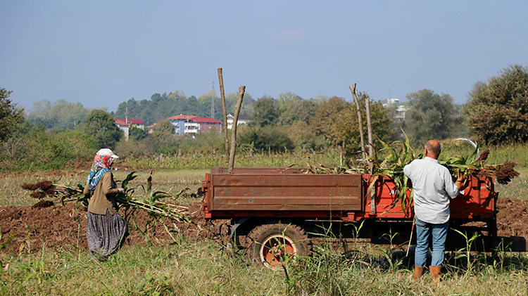 Şeker kamışından pekmez yapma geleneğini yaşatmak için 15 yıldır mesaide