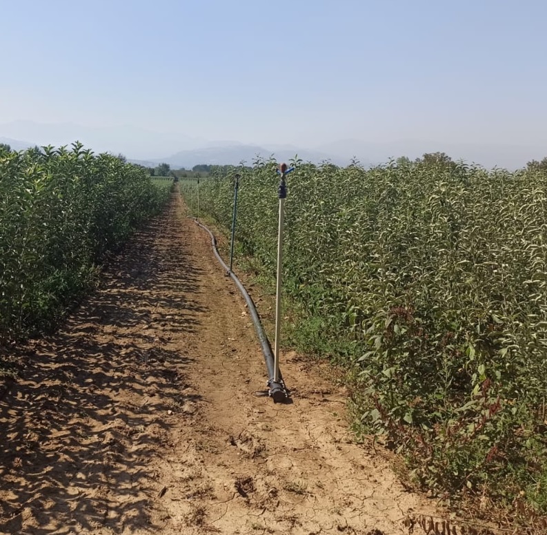 İnegöl’de fidancıların üretim alanları denetlendi