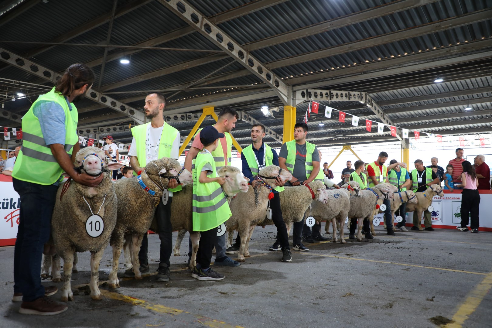 İnegöl’de koç ve tavuklar kıyasıya yarıştı