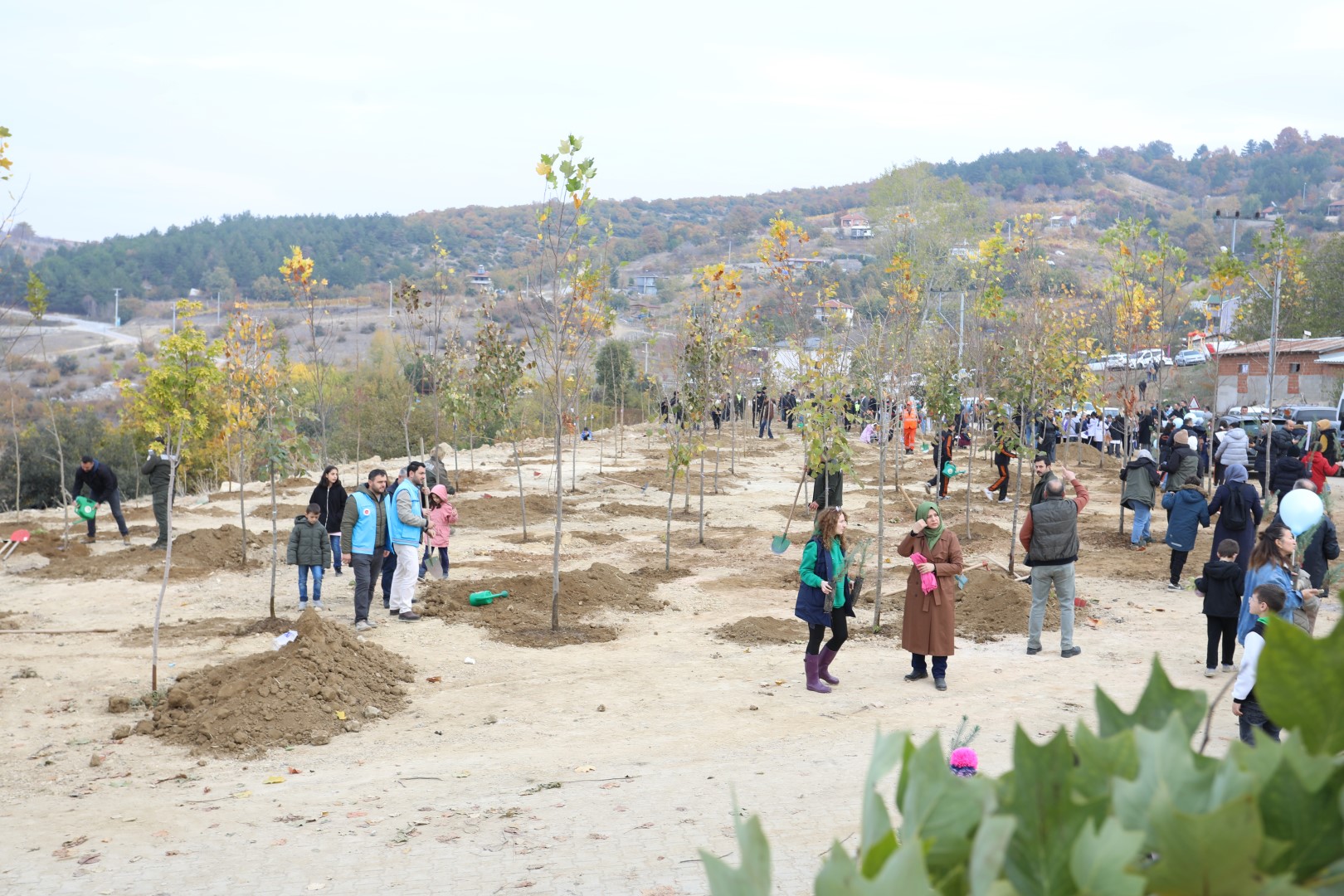 Fidanlar toprakla buluştu