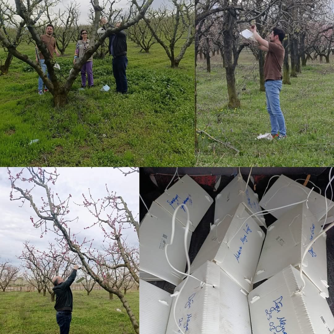 Tuzaklar asılmaya başladı