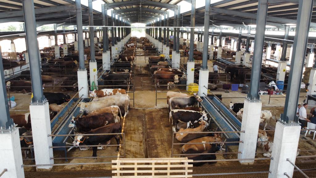 İnegöl Hayvan Pazarı’nın kotra ihale tarihi belli oldu