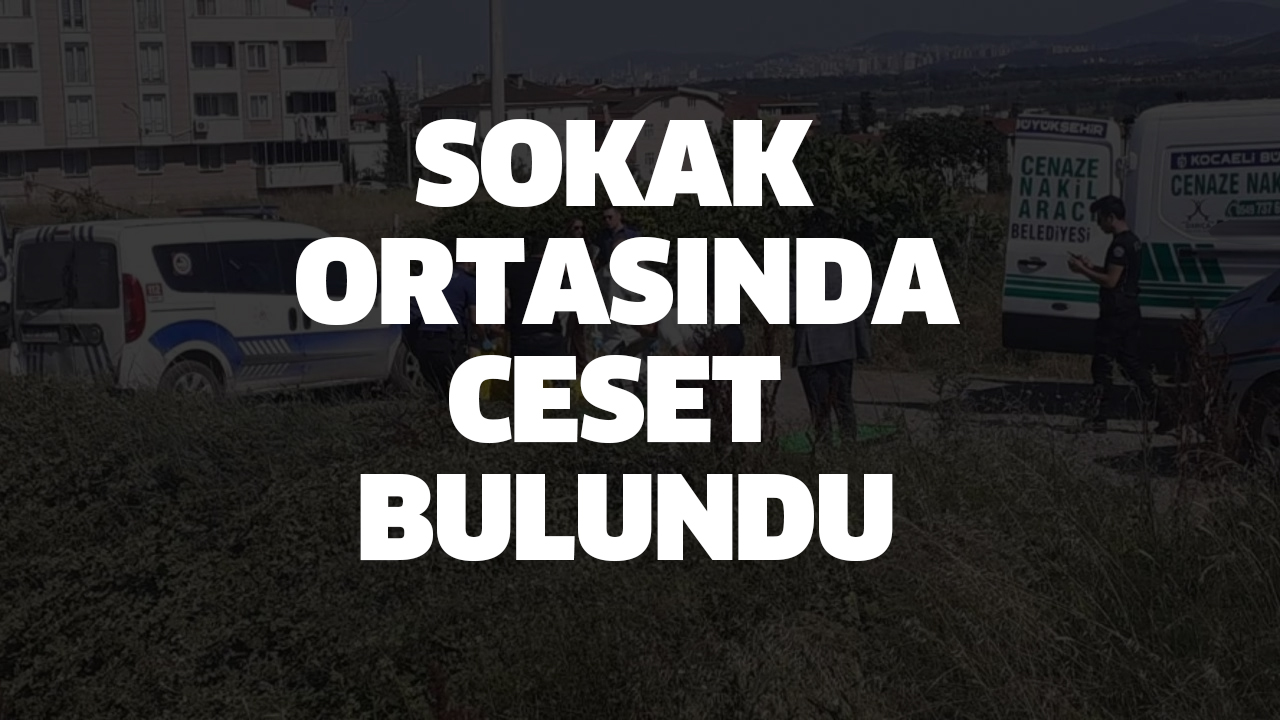 Sokak ortasında erkek cesedi bulundu