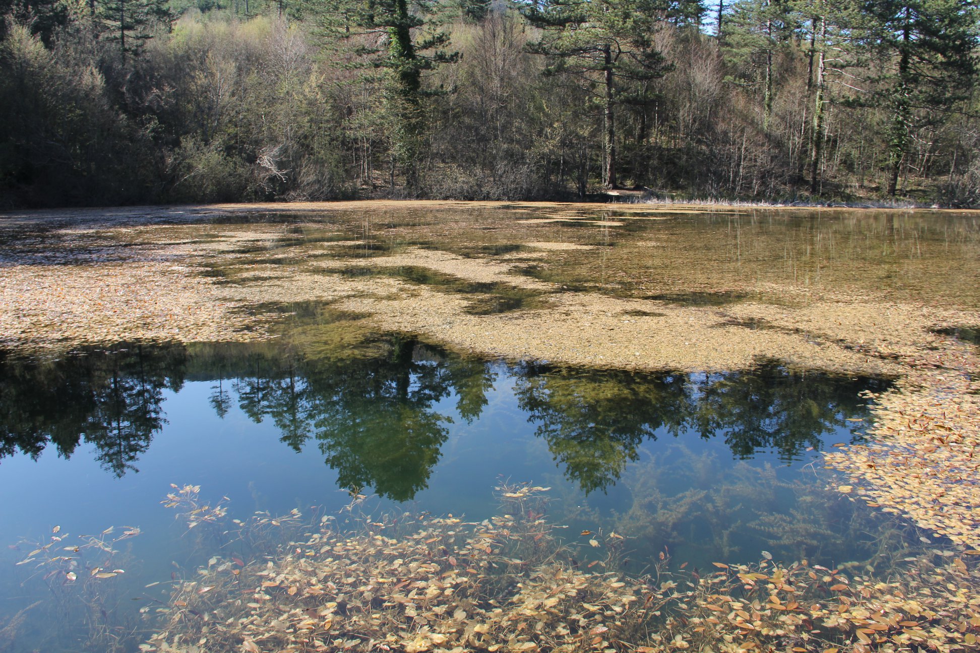 Doğal güzellikler yerli ve yabancı turistleri bekliyor