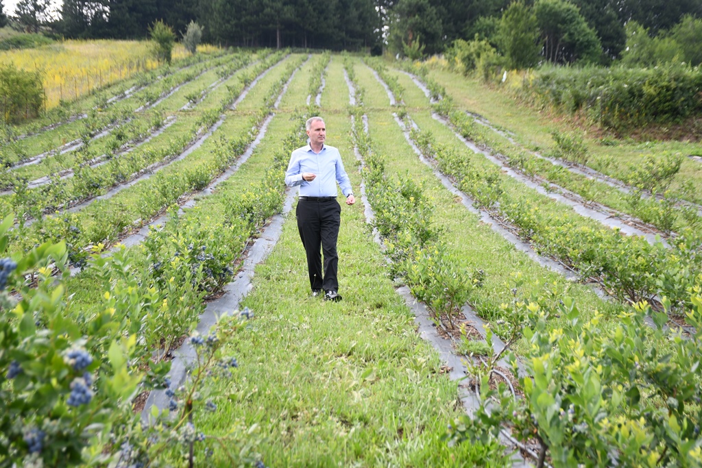 Tarımda İnegöl modeli ile geleceğe yatırım