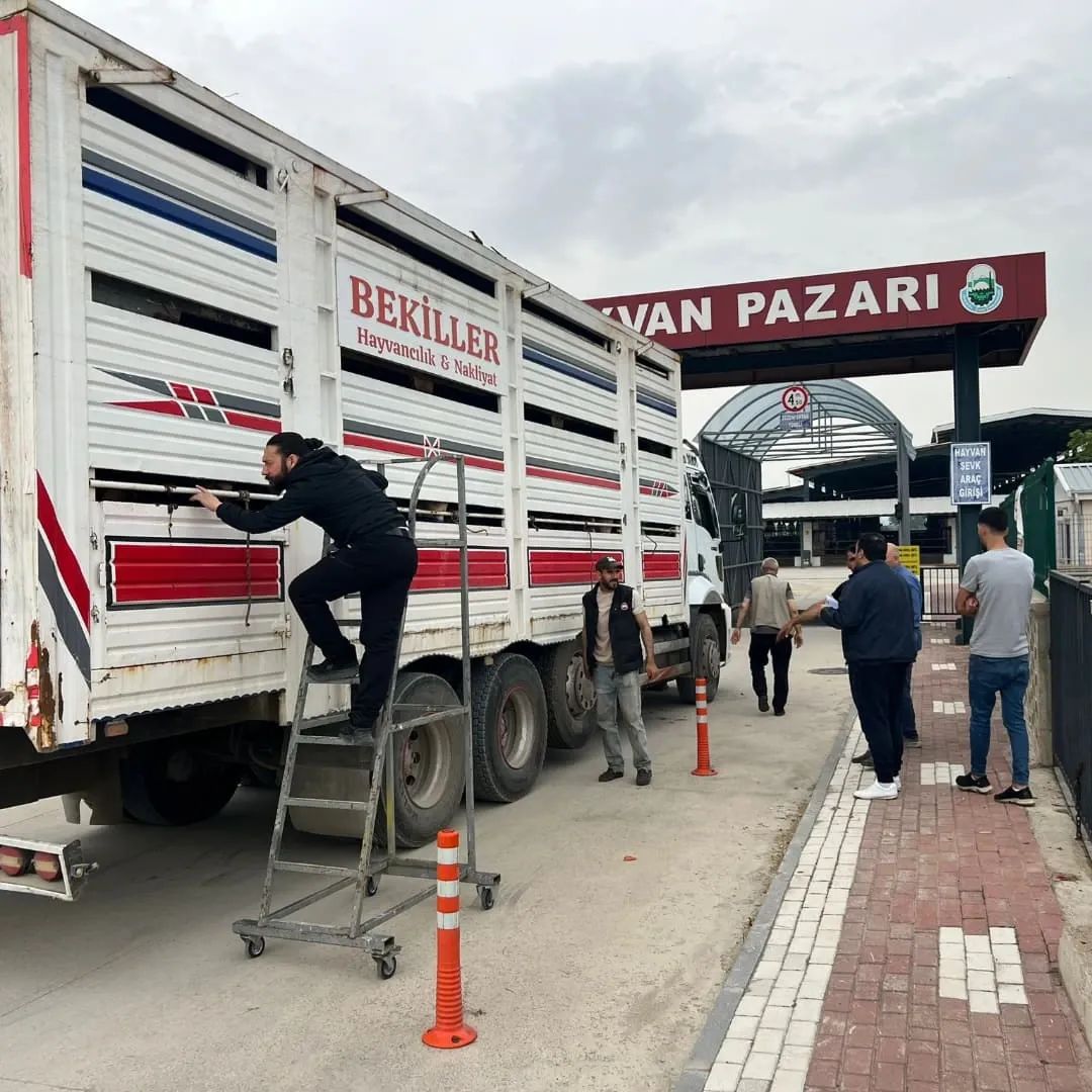 İnegöl’e gelen kurbanlıkların girişi sıkı denetim altında