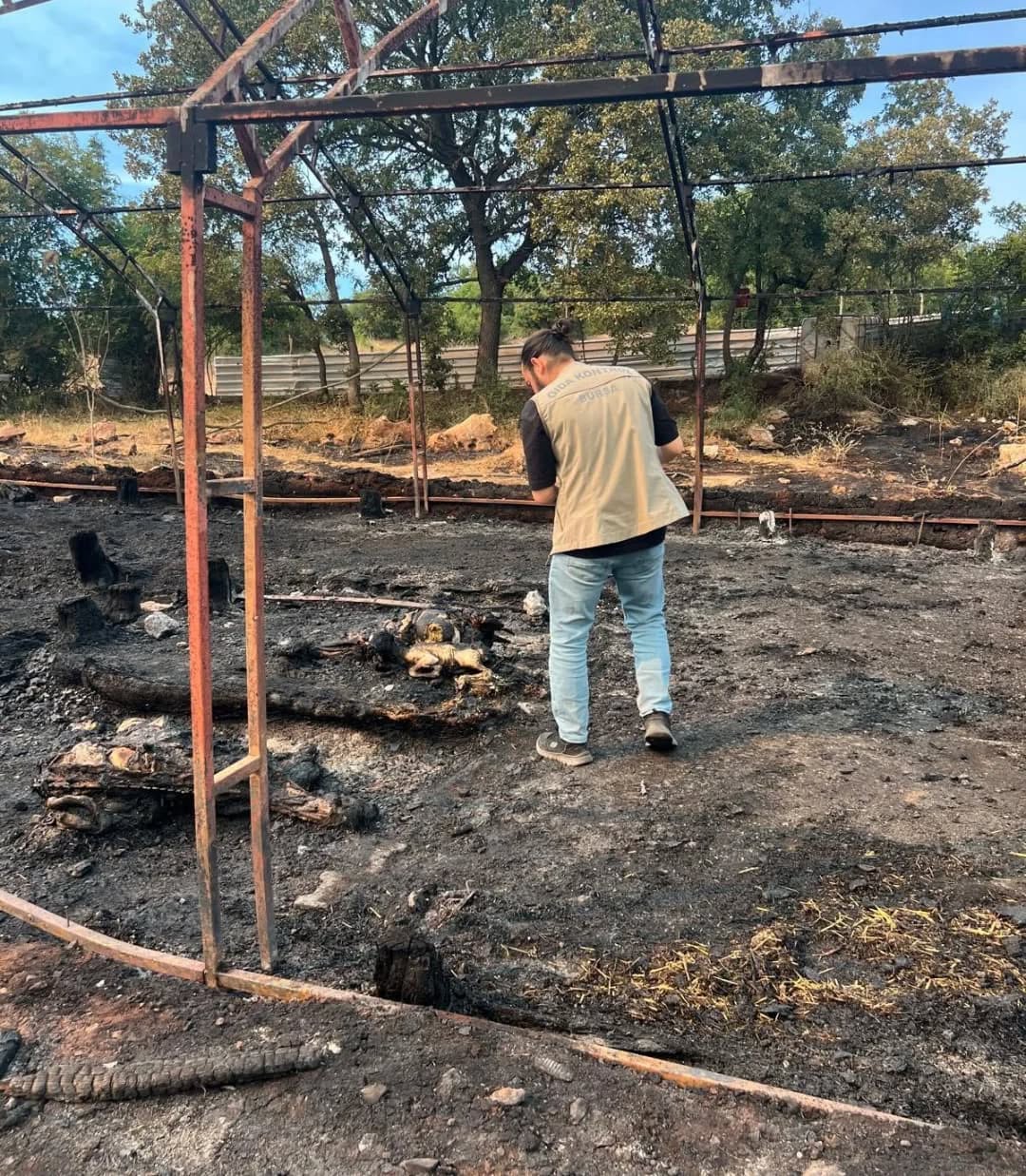 Dömez Mahallesi’nde çıkan yangının ardından hasar tespiti yapıldı
