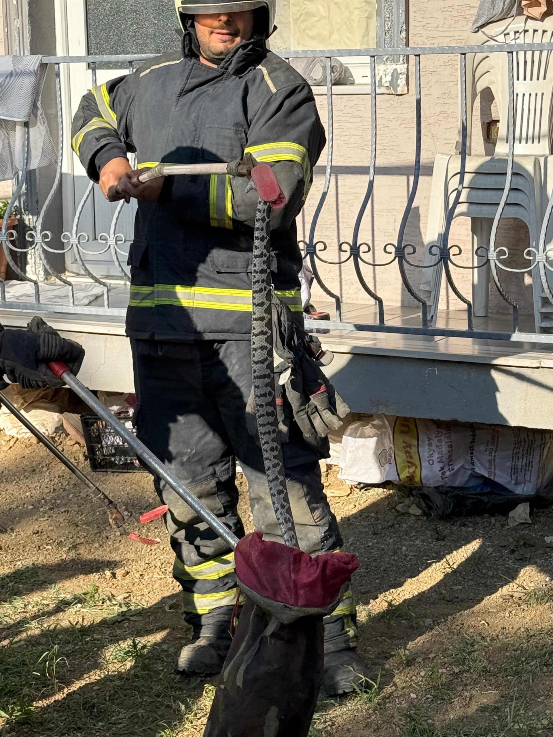 İnegöl’de Yılan Alarmı: Vatandaşlar Tedirgin, Ekipler Teyakkuzda