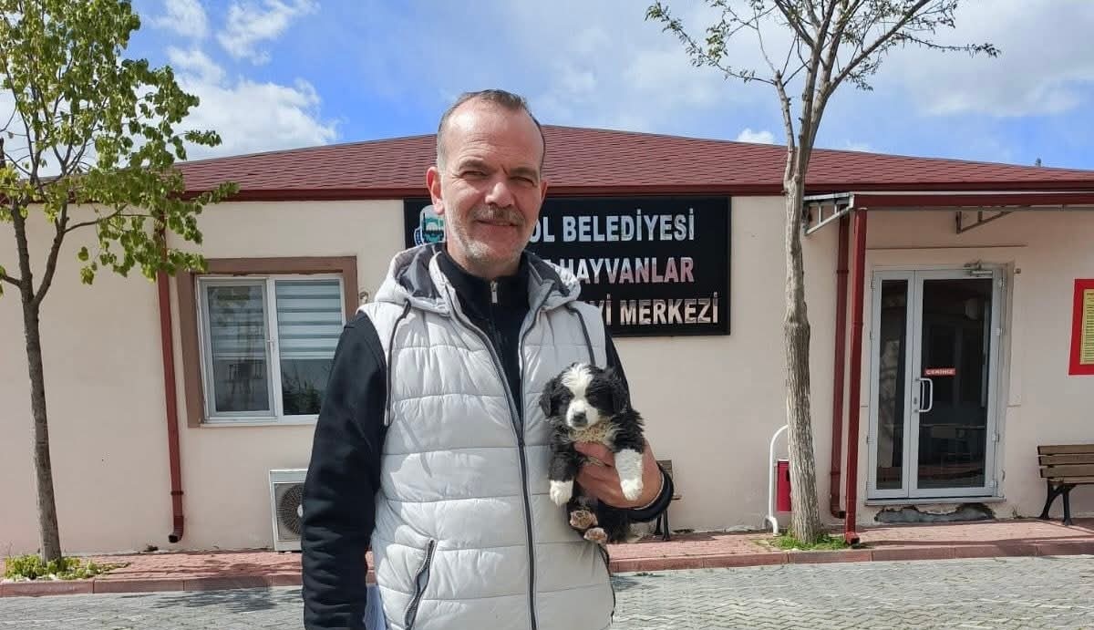 İnegöl Belediyesi’nden can dostlara şefkat eli; ‘Satın alma, sahiplen” projesi sürüyor